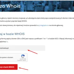 Właściciel domeny .com: Jak go znaleźć, gdy dane są ukryte?