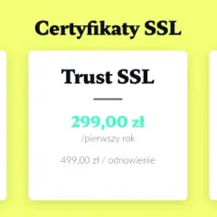 Koszt sklepu internetowego 2024: Od 50 zł do 200 tys. zł?
