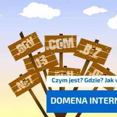 Drewniane tabliczki z nazwami domen internetowych (.com, .net, .org, .biz) na tle nieba z ptakiem.
