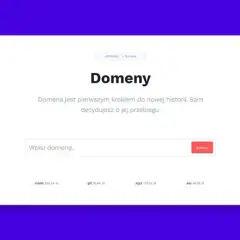 Wybór domeny: Jak wybrać idealną nazwę dla Twojej firmy?