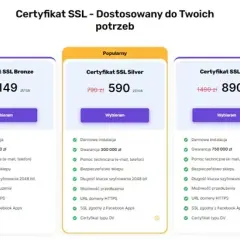 Jak stworzyć sklep internetowy? Wybór platformy, koszty, prawo