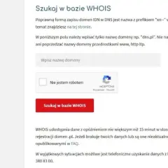 Jak sprawdzić właściciela domeny? WHOIS, RODO i alternatywy