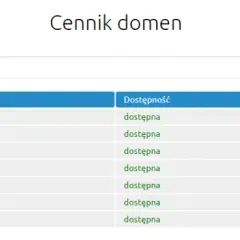 Domena internetowa: Co to jest, jak działa i ile kosztuje?