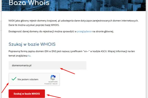 Właściciel domeny .com: Jak go znaleźć, gdy dane są ukryte?