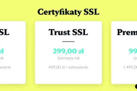 Koszt sklepu internetowego 2024: Od 50 zł do 200 tys. zł?