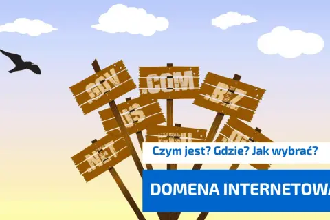 Drewniane tabliczki z nazwami domen internetowych (.com, .net, .org, .biz) na tle nieba z ptakiem.