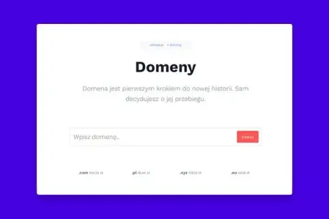 Wybór domeny: Jak wybrać idealną nazwę dla Twojej firmy?