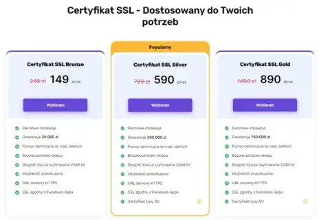 Jak stworzyć sklep internetowy? Wybór platformy, koszty, prawo