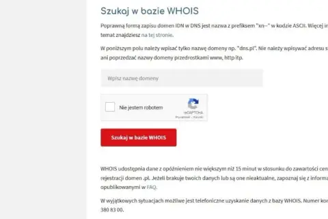 Jak sprawdzić właściciela domeny? WHOIS, RODO i alternatywy