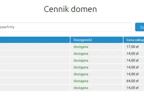 Domena internetowa: Co to jest, jak działa i ile kosztuje?