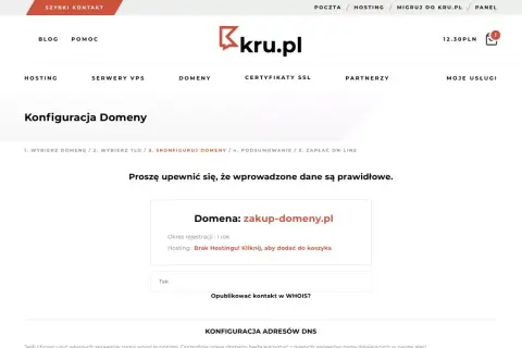 Jak kupić domenę? Krok po kroku, unikaj pułapek i oszczędź!