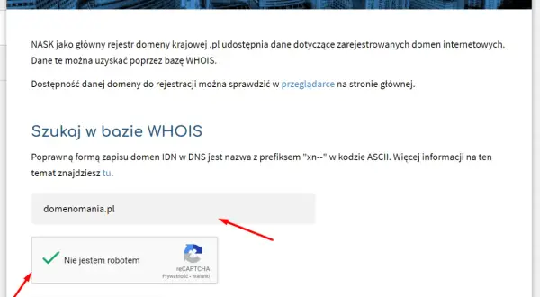 Właściciel domeny .com: Jak go znaleźć, gdy dane są ukryte?