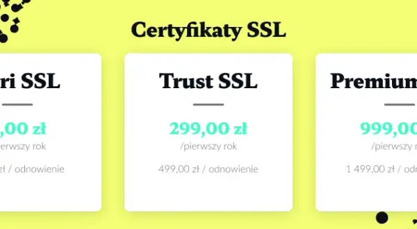 Koszt sklepu internetowego 2024: Od 50 zł do 200 tys. zł?