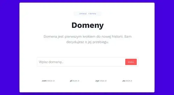 Wybór domeny: Jak wybrać idealną nazwę dla Twojej firmy?