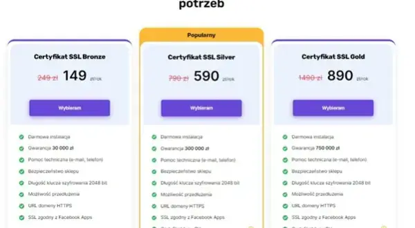 Jak stworzyć sklep internetowy? Wybór platformy, koszty, prawo