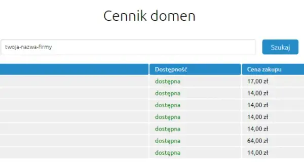 Domena internetowa: Co to jest, jak działa i ile kosztuje?