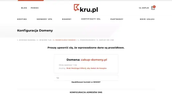 Jak kupić domenę? Krok po kroku, unikaj pułapek i oszczędź!