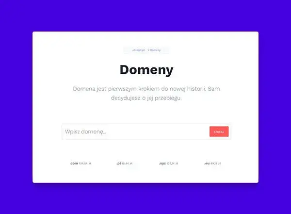 Wybór domeny: Jak wybrać idealną nazwę dla Twojej firmy?