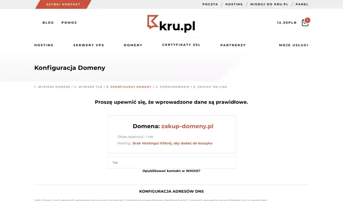 Jak kupić domenę? Krok po kroku, unikaj pułapek i oszczędź!
