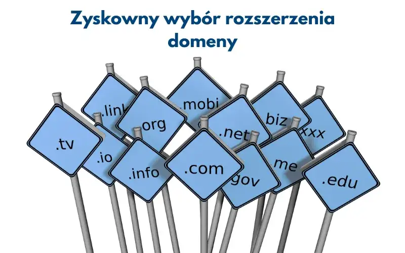 Wybór rozszerzenia domeny
