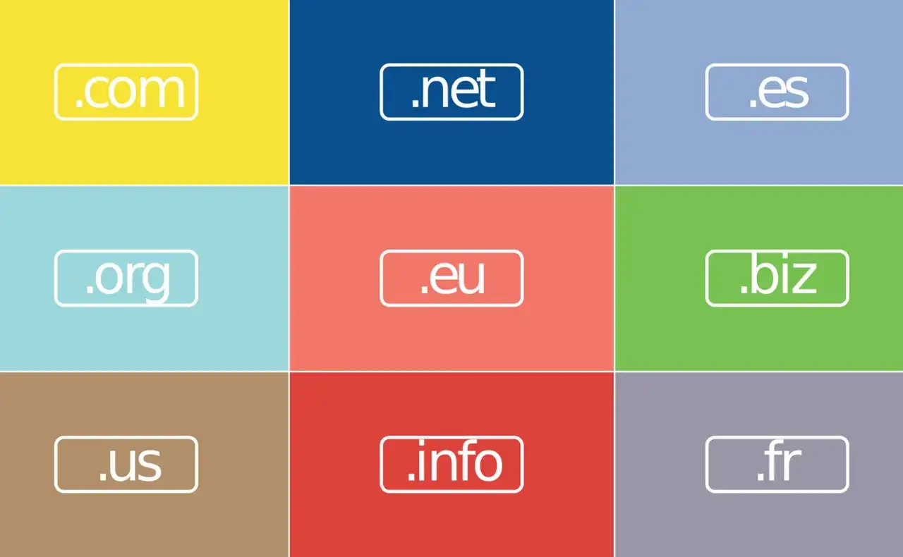 rodzaje domen internetowych grafika