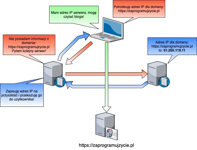 Budowa domeny internetowej schemat