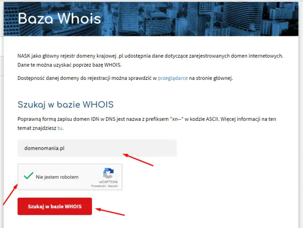 Właściciel domeny .com: Jak go znaleźć, gdy dane są ukryte?