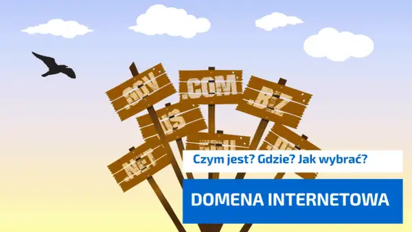 Drewniane tabliczki z nazwami domen internetowych (.com, .net, .org, .biz) na tle nieba z ptakiem.