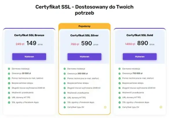 Jak stworzyć sklep internetowy? Wybór platformy, koszty, prawo