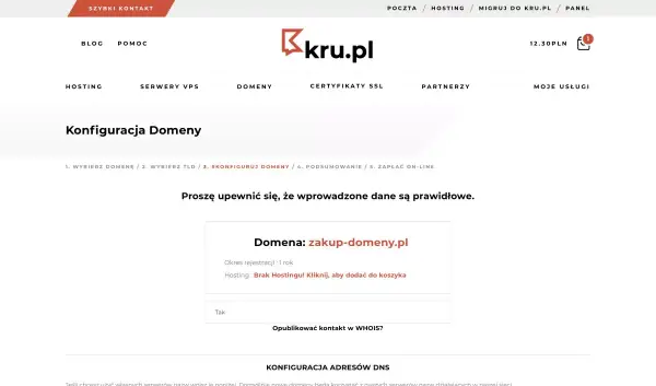Jak kupić domenę? Krok po kroku, unikaj pułapek i oszczędź!